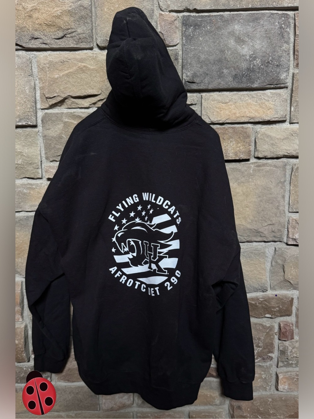 Rare!! AFROTC Kentucky Hoodie with Flying Wildcats Graphic -XXL